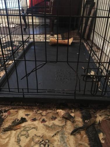 27867530_1829284553779424_2060514752313992672_n